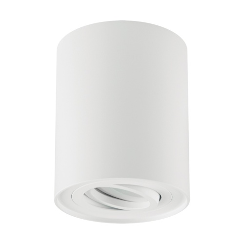 Oprawa sufitowa Hary C GU10 White kolor biały max 35 W GU10 STRUHM