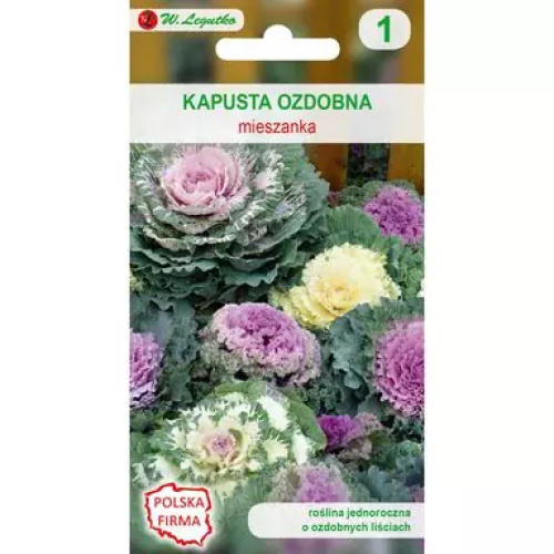 4a26fb5950c369d779adf42d4d9ab066.webp